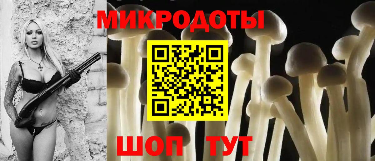 Псилоцибиновые грибы Cubensis  Галлюциногенные грибы Psilocybe  Томск  Вход с VPN 