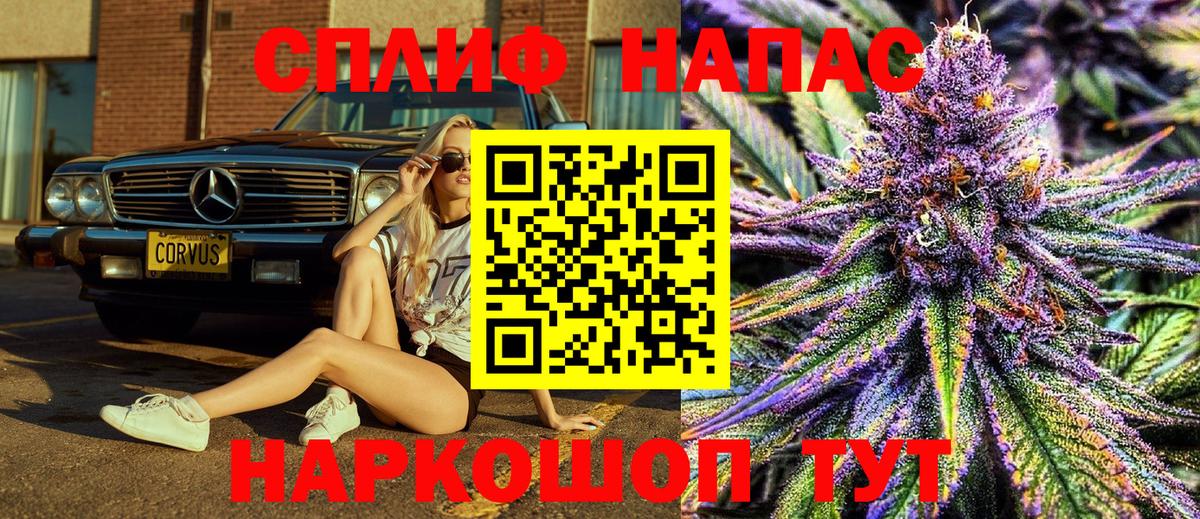 Каннабис ГИДРОПОН Томск